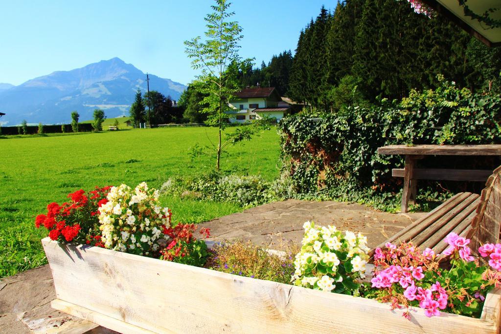Appartements Binderhof Kirchdorf in Tirol Oda fotoğraf